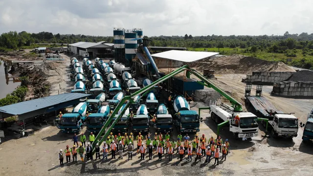 Bintangor Plant image 3