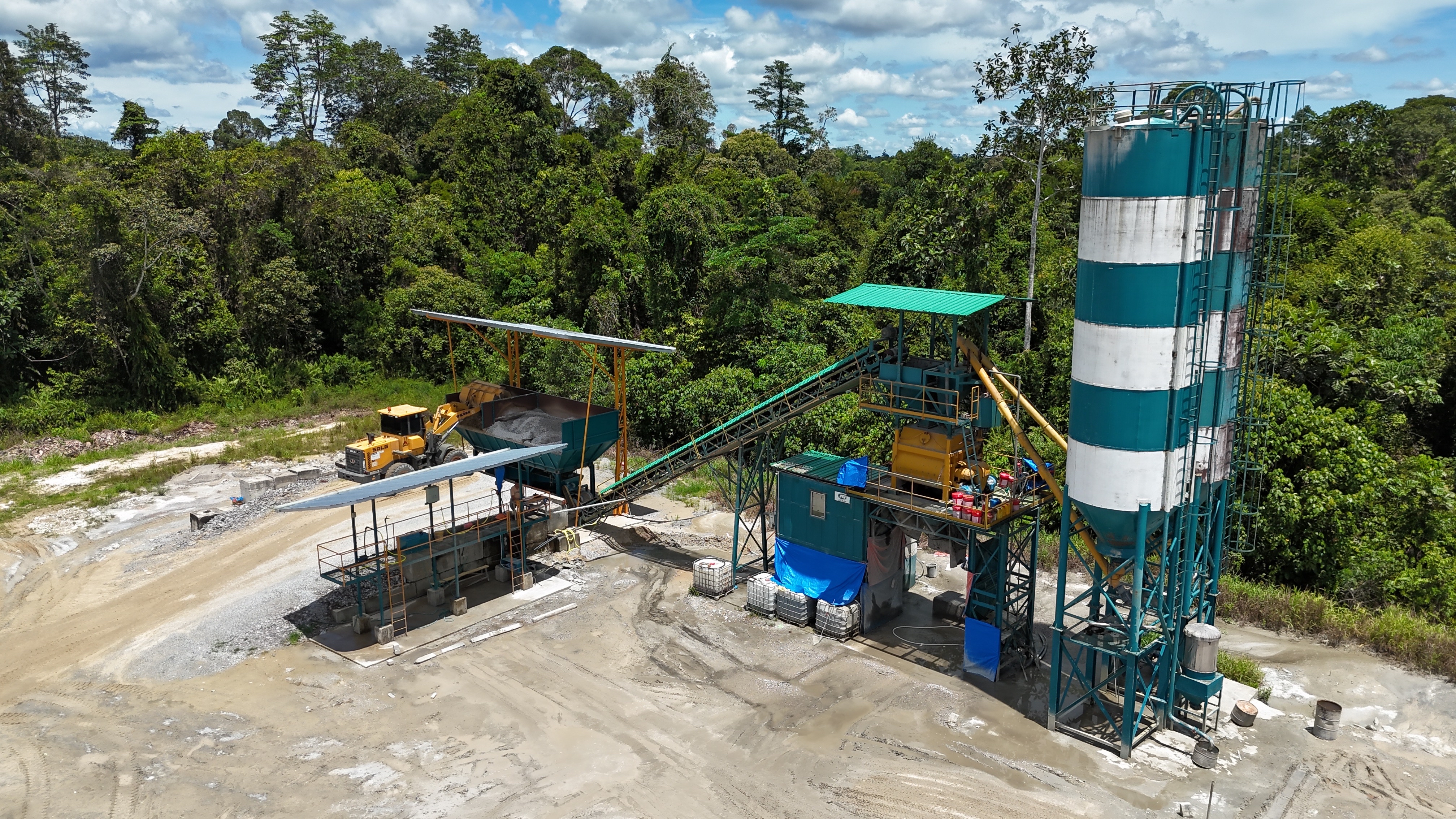 Selidap Plant image 1